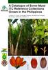 A Catalogue of Some Musa ITC Reference Collections Grown in the Philippines