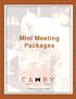 Mini Meeting Packages