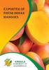exporter of fresh indian mangoes