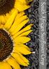 South African Sunflower Crop