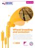 Wheat breeding and evolution. bbsrc.ac.uk
