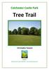 Colchester Castle Park. Tree Trail. Christopher Howard. October Produced by the Friends of Castle Park