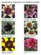 Garden Club of Virginia 2017 Lily Collection Corrected