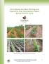 2014 Mexico Dry Bean Planting and Vegetative Crop Development Report Spring-Summer Cycle