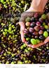 olives, preserved vegetables & fruit