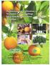 PRODUCTION AND CULTIVATION OF VIRUS-FREE CITRUS SAPLINGS FOR CITRUS REHABILITATION IN TAIWAN