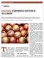 ONIONS: EXPORTS CONTINUE TO GROW