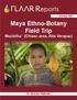 Maya Ethno-Botany Field Trip