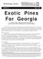 Exotic Pines For Georgia