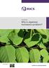 Factsheets Why is Japanese knotweed a problem?