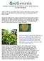 AGRABLAST and AGRABURST TREATMENT OF COFFEE FUNGUS AND BLACK SIGATOKA ON BANANAS