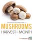 Teacher Resources Recommended for Grades 1-5 MUSHROOMS OF THE. freshmushrooms. nature s hidden treasure
