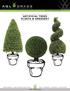 1 (*P denotes THIS PLANT INCLUDES A STANDARD PLASTIC POT may not be shown in picture) CEDAR PLANTS (plastic outdoor compatible)