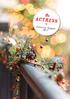 the ACTRESS D Festive Season 2017