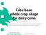 Faba bean whole crop silage for dairy cows