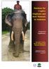 Database for Captive Elephants and their Mahouts in Andaman