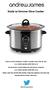 Sizzle to Simmer Slow Cooker