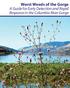 Worst Weeds of the Gorge. A Guide for Early Detection and Rapid Response in the Columbia River Gorge