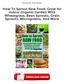 How To Sprout Raw Food: Grow An Indoor Organic Garden With Wheatgrass, Bean Sprouts, Grain Sprouts, Microgreens, And More Ebooks Free