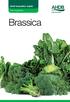 CROP WALKERS GUIDE. Field Vegetables. Brassica