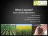 What is Canola? Basic Canola Agronomics. Heath Sanders Canola Field Specialist Great Plains Canola Assoc. March 31 st 2014