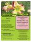 NEDS News. New England Daylily Society. NEDS Meeting Agenda: April 13. May 11 NEDS May Plant Sale, Upcoming NEDS events!