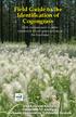 Field Guide to the Identification of Cogongrass. With comparisons to other commonly found grass species in the Southeast