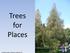 Margaret Lenehan CORPORATE LANDSCAPES LTD. Trees for Places