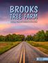 BROOKS TREE FARM. Seedlings, Plugs and Containers for Every Need