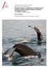 Decadal changes in distribution, abundance and feeding ecology of baleen whales in Icelandic and adjacent waters. A consequence of climate change?