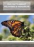 FUN FACTS ABOUT MILKWEED & MONARCHS
