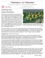 Statewide Vineyard Crop Development Update #7 October 23, 2009 Edited by Tim Martinson and Chris Gerling