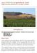 2013 TRENDS in Agricultural Land Napa, Sonoma, Mendocino, & Lake Counties
