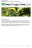How to Grow Tea. How to Grow Tea Published on LoveTheGarden.com (  Type of Guide: Fruit & veg