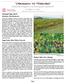 Veraison to Harvest Statewide Vineyard Crop Development Update #7 October 11, 2013 Edited by Tim Martinson and Chris Gerling