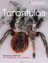 Tarantulas. Should be preserved Not chopped up with a machete. Nicholas M. Hellmuth