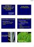 Updates on Powdery Mildew and other Diseases of Cucurbits