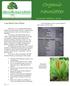 Organic Newsletter. Summer Edition, Long Island Native Plants. Osmunda cinnamomea- Royal Fern