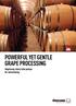 POWERFUL YET GENTLE GRAPE PROCESSING. Vogelsang rotary lobe pumps for winemaking ENGINEERED TO WORK