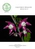 A review of Alocasia (Araceae: Colocasieae) for Thailand including a novel species and new species records from South-West Thailand INTRODUCTION
