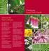 Castlecrag Local Plant Guide. Sources for Native Plants