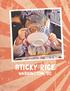 Sticky Rice. washington, DC