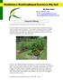 Wattletree Horticultural Services Pty Ltd