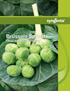 Brussels Sprouts FRESH MARKET CROP GUIDE