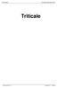 Commodity Classification Manual. Triticale. Triticale 2011 v1 Section 6 Page 1