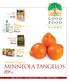 MINNEOLA TANGELOS. Imagine ORGANIC BROTH 32 oz. Ecover HOUSEHOLD CLEANING PRODUCTS AND LAUNDRY SUPPLIES Selected varieties.