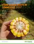 CORN SILAGE TESTS IN TENNESSEE 2017