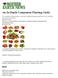 An In-Depth Companion Planting Guide