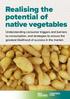 Realising the potential of native vegetables