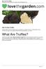 What Are Truffles? How To Grow Truffles. How To Grow Truffles Published on LoveTheGarden.com (
